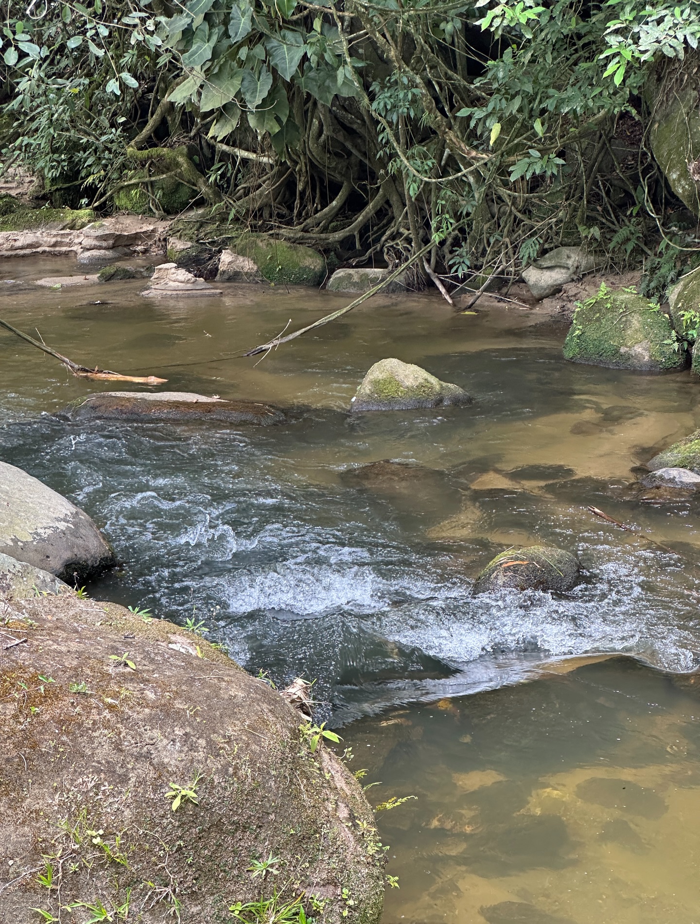 🌿 REFÚGIO EXCLUSIVO À VENDA NO SANA – RJ